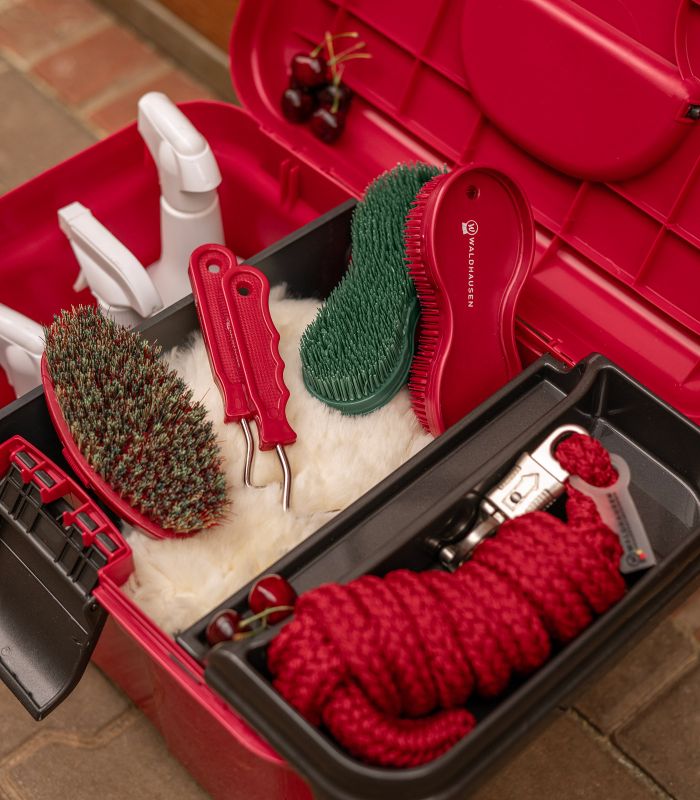 MALETÍN LIMPIEZA MATERIAL WALDHAUSEN ROJO