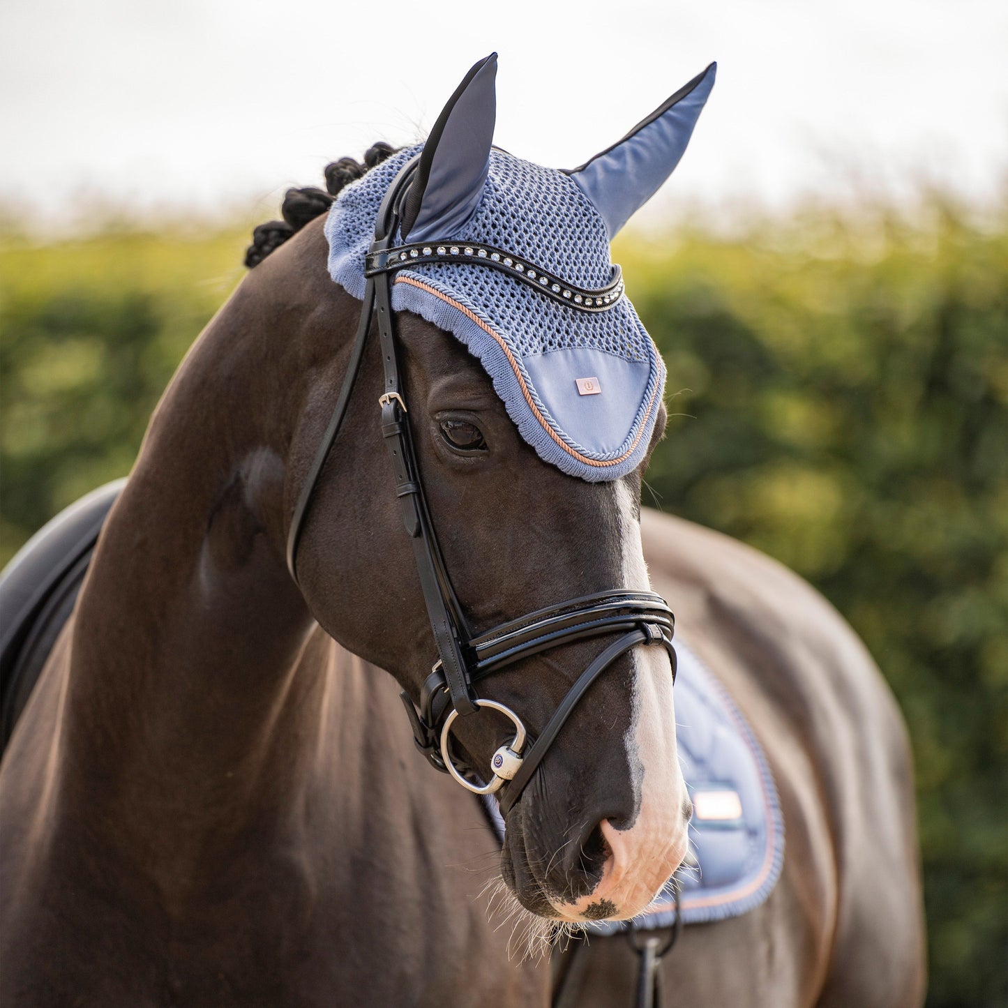 OREJERAS IMPERIAL AZUL SOMBRA