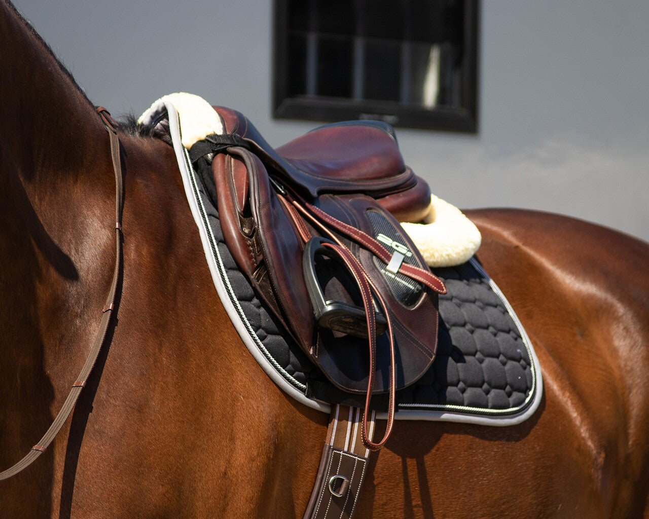 SALVADORSO QHP MEMORY FOAM