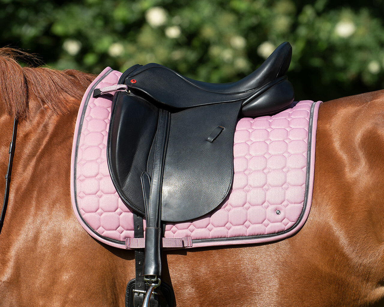 MANTILLA DOMA DENVER ROSA QHP