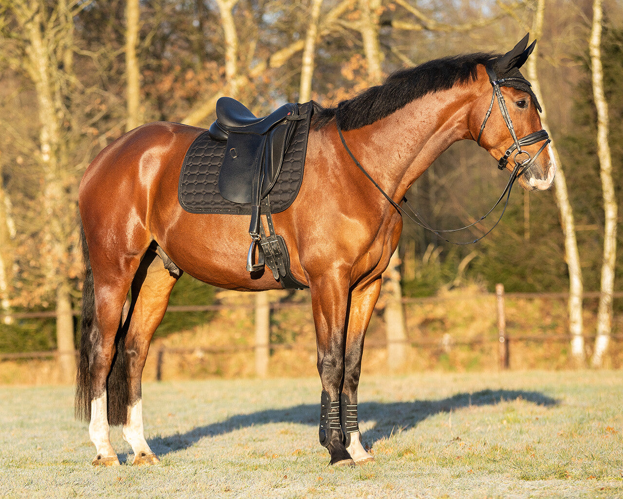 MANTILLA DOMA QHP HAILYN