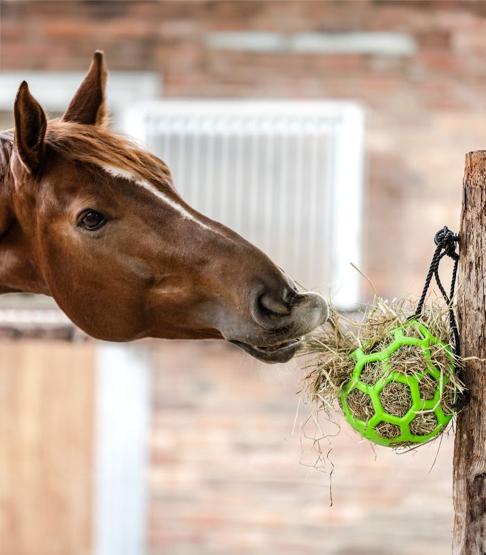 PELOTA DE HENO
