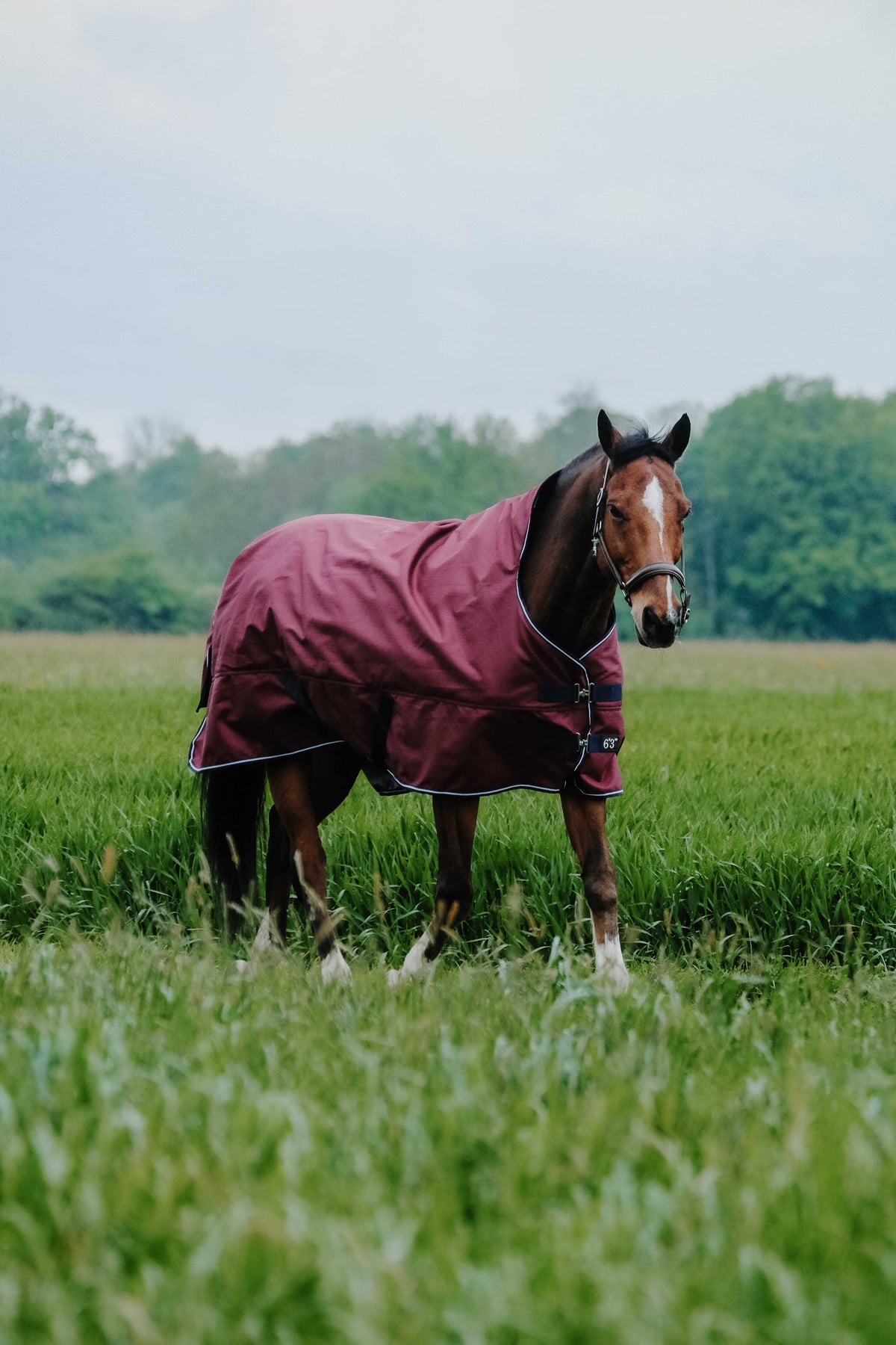 MANTA EXTERIOR EQUITHEME (0g)