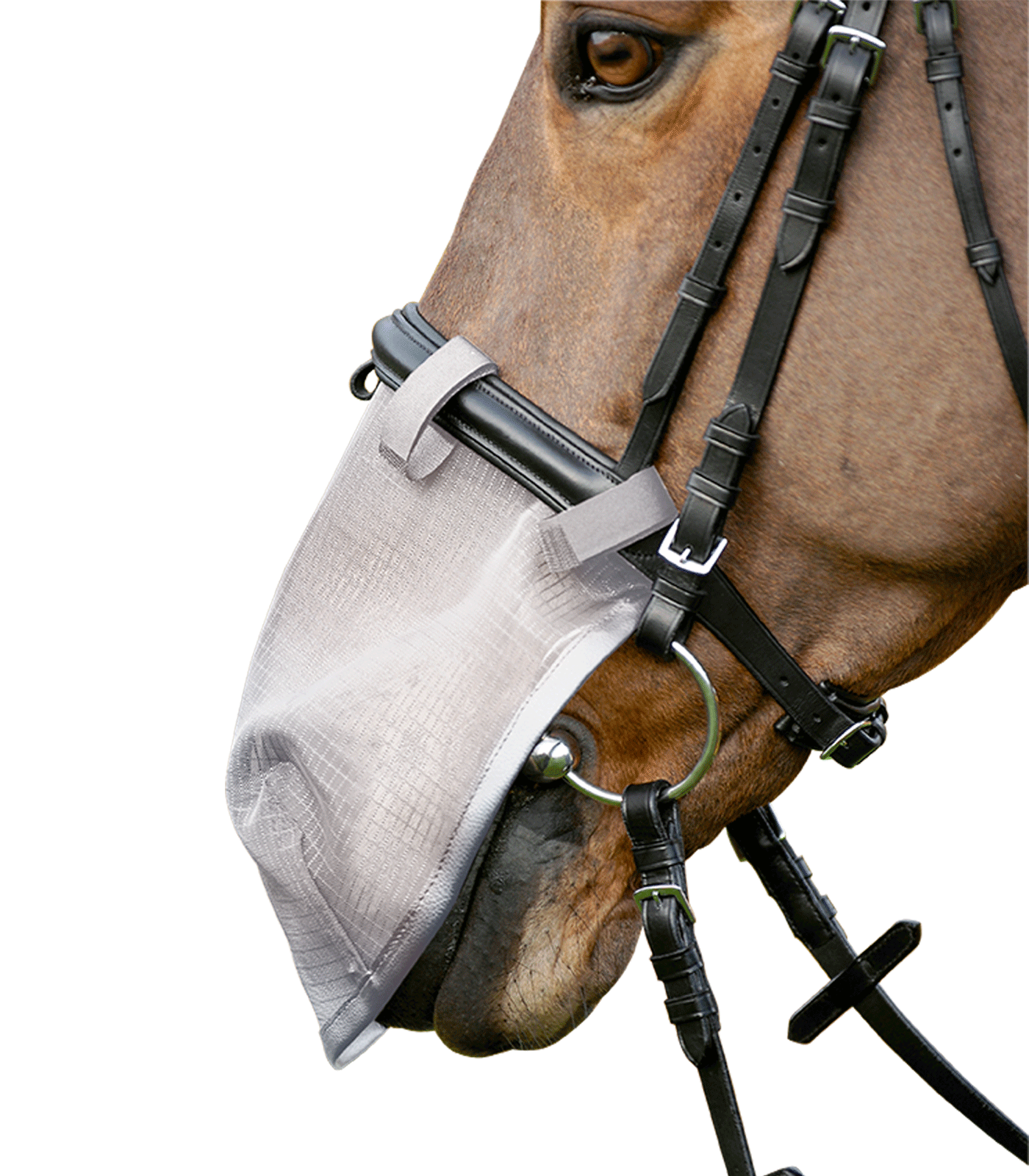 PROTECCIÓN ANTIMOSCAS PARA NARIZ, CON PROTECCIÓN UV.