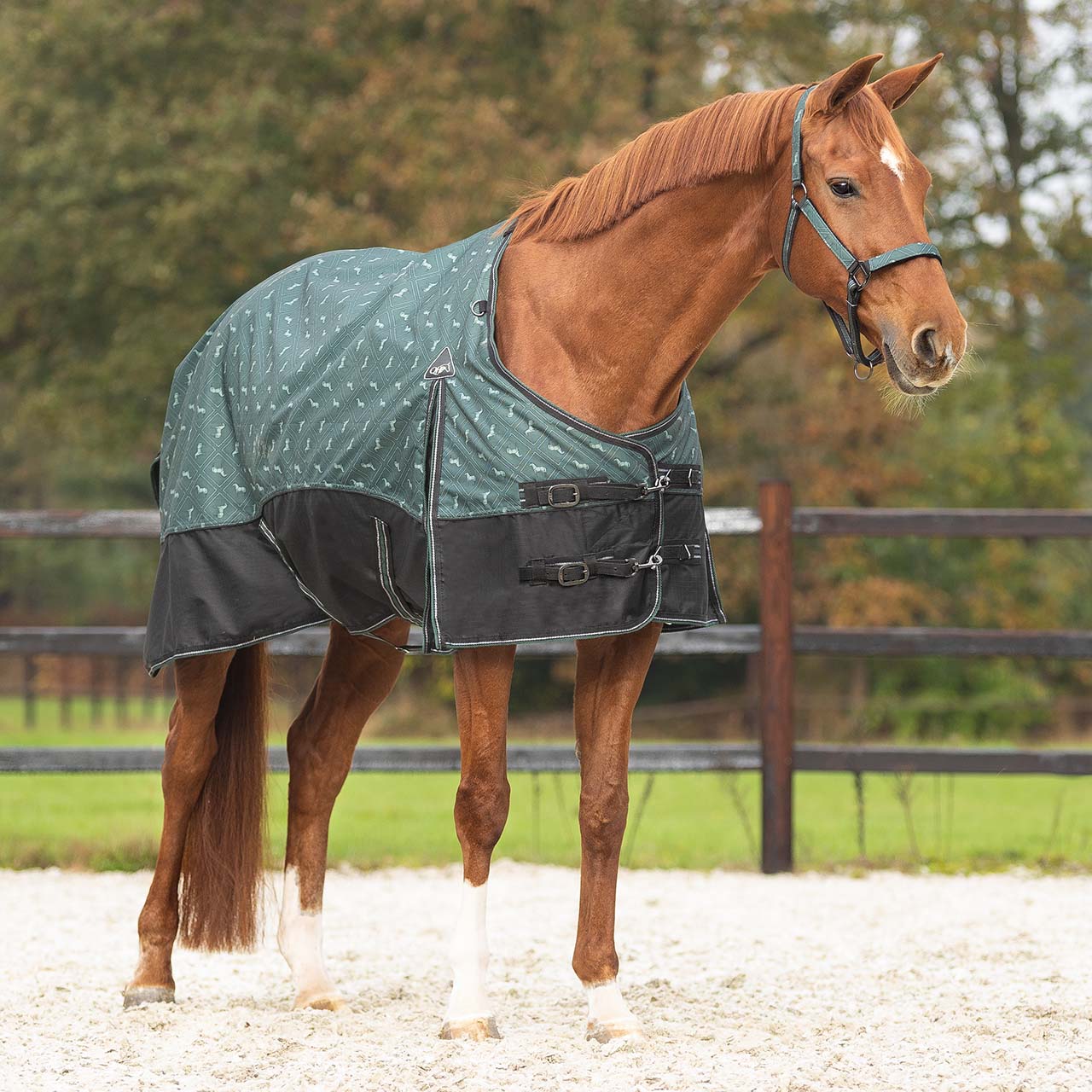 MANTA EXTERIOR QHP 300G EMERALD