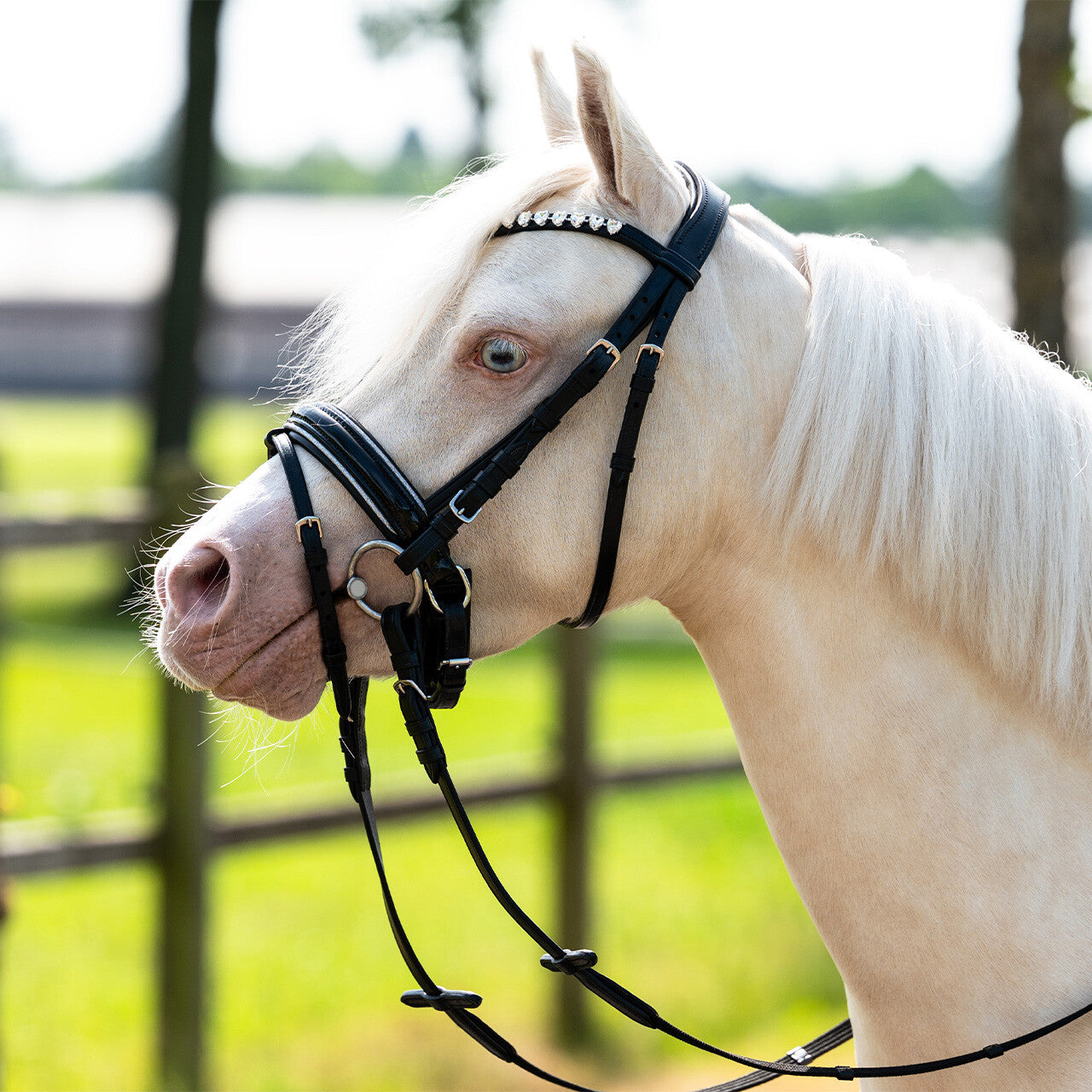 BRIDA BIXIE PONY QHP