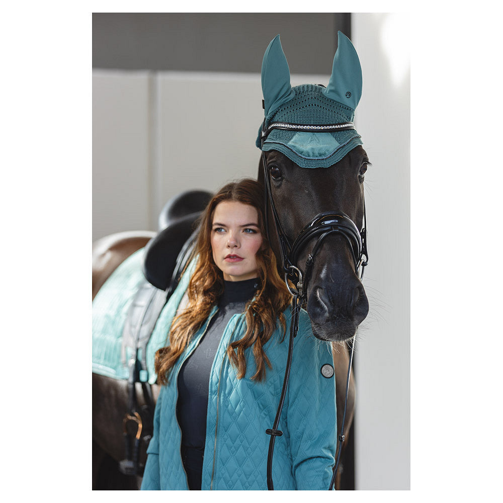 OREJERAS ANKY PINO PLATEADO