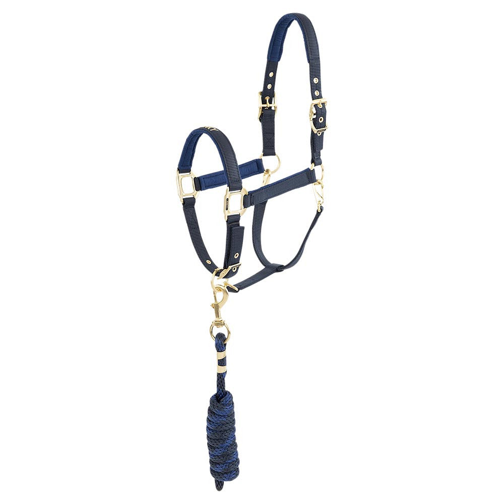 CABEZADA ANKY CON RAMAL INDIGO