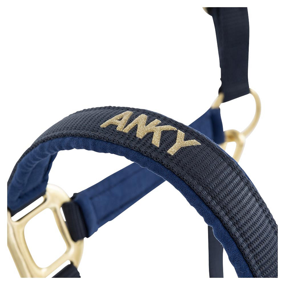 CABEZADA ANKY CON RAMAL INDIGO