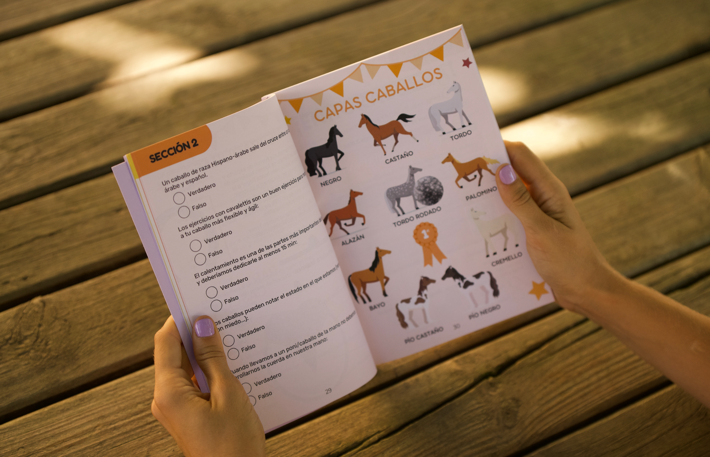 LIBRO HELLO RIDERS . A PRUEVA! (3)