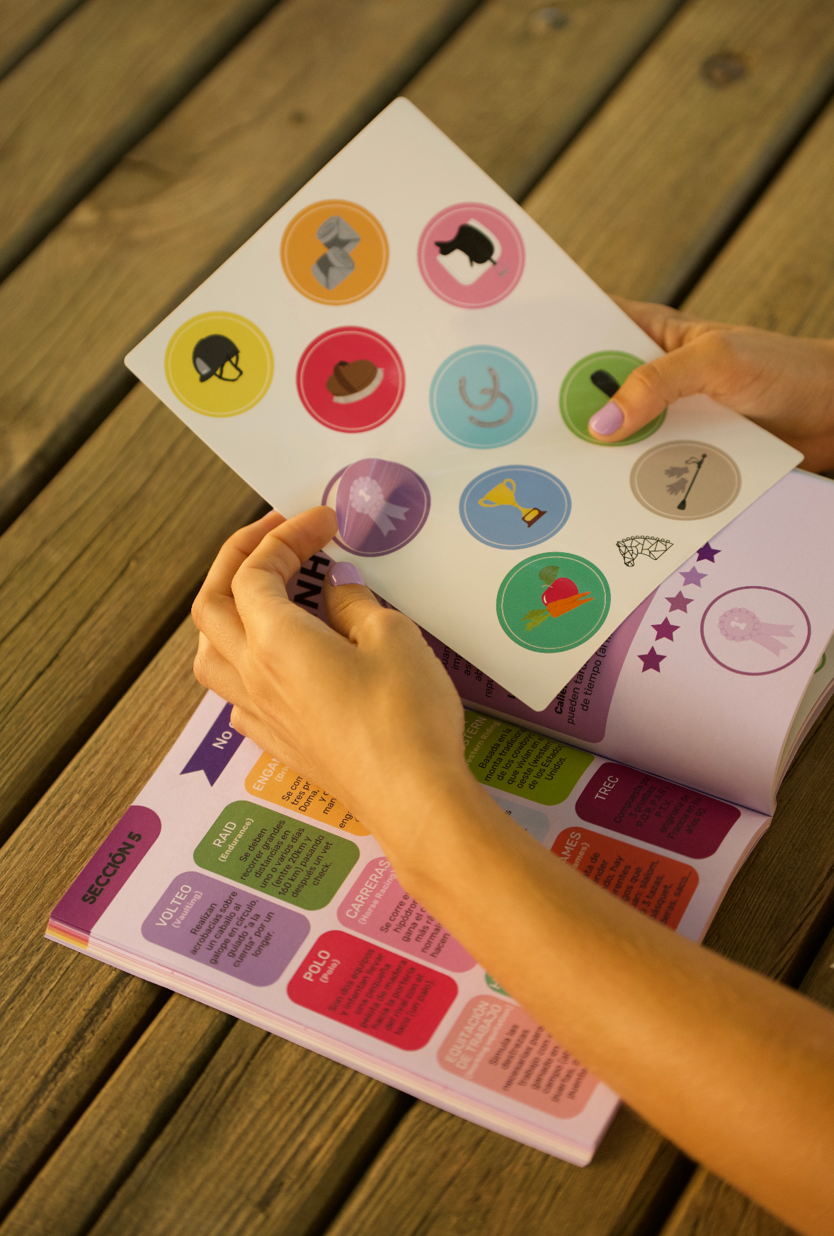 LIBRO HELLO RIDERS . A PRUEVA! (3)