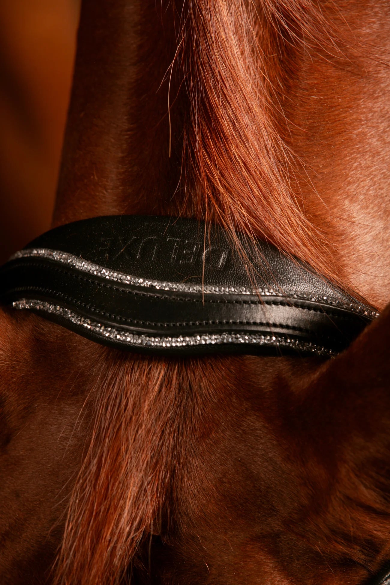 BRIDA DOMA JHONNY TRABAJO MR ROS