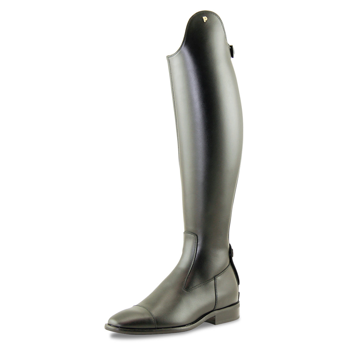BOTA PETRIE PALERMO