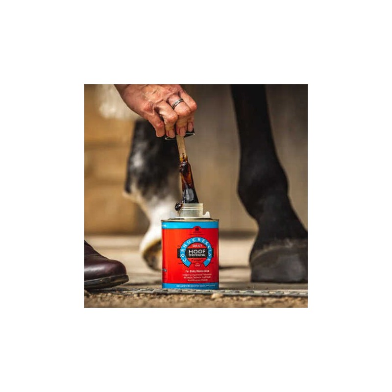 ACEITE PARA CASCOS CARR & DAY & MARTIN PASO 1/3