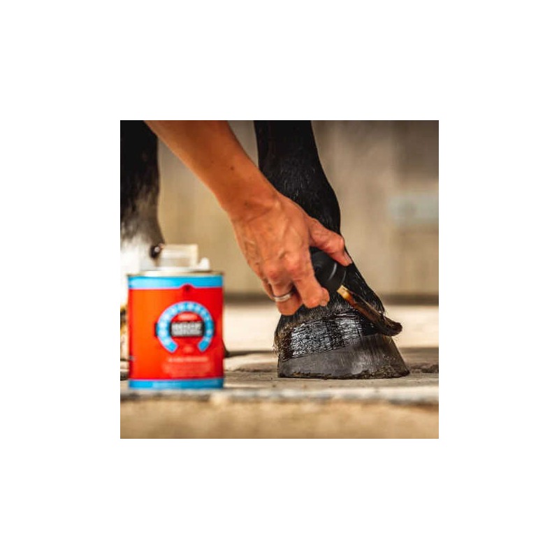ACEITE PARA CASCOS CARR & DAY & MARTIN PASO 1/3