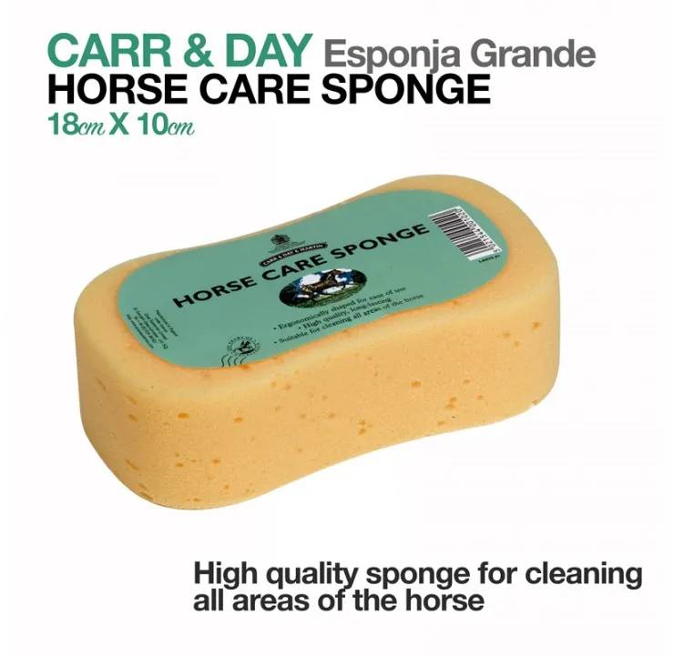 ESPONJA CARR & DAY GRANDE 18cmX10cm