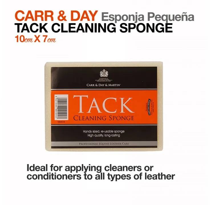 CARR & DAY ESPONJA PEQUEÑA 10cmX7cm