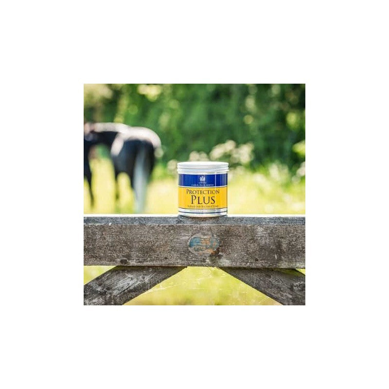 CREMA PROTECTORA SPRY CARR & DAY & MARTIN