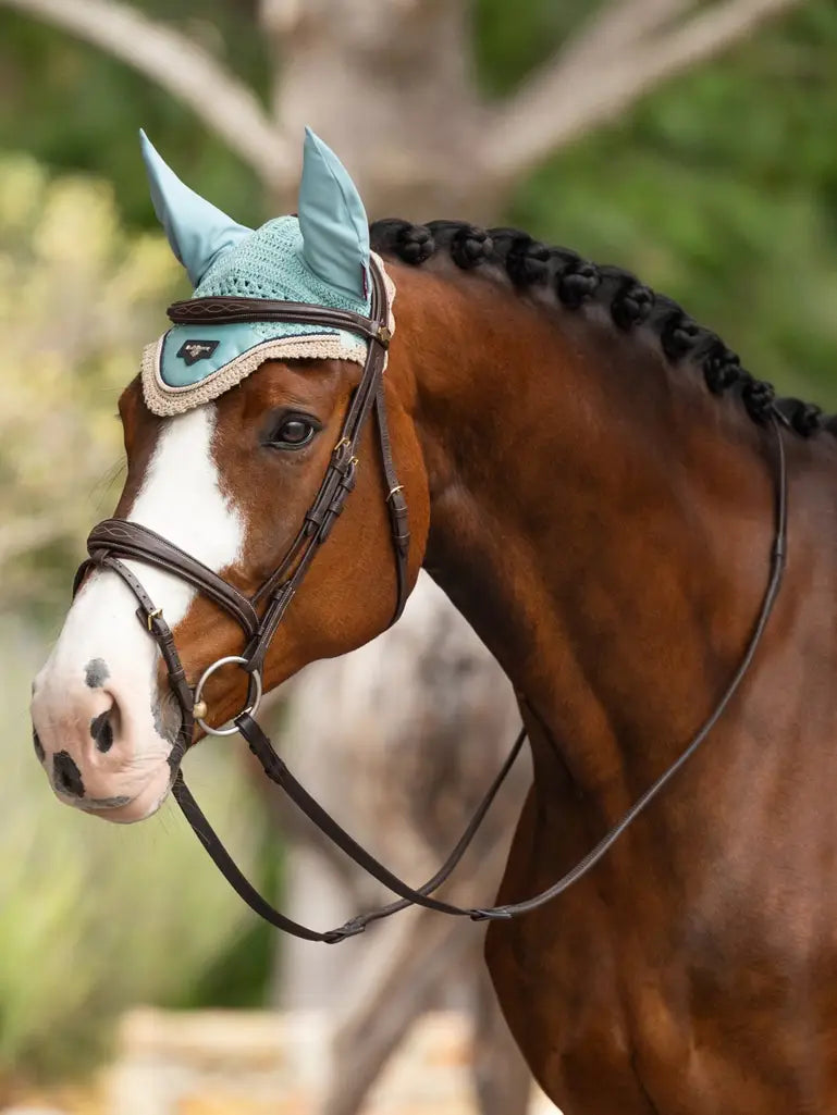 OREJERAS AQUA LE MIEUX