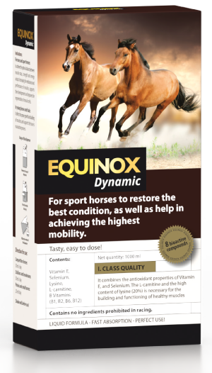 EQUINOX Dynamic
