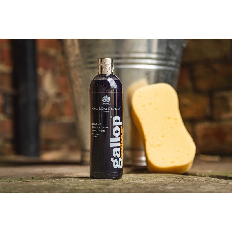 SHAMPOO PARA CABALLOS NEGROS CARRY&DAY&MARTINS