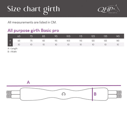 CINCHA USO GENERAL BASIC PRO QHP