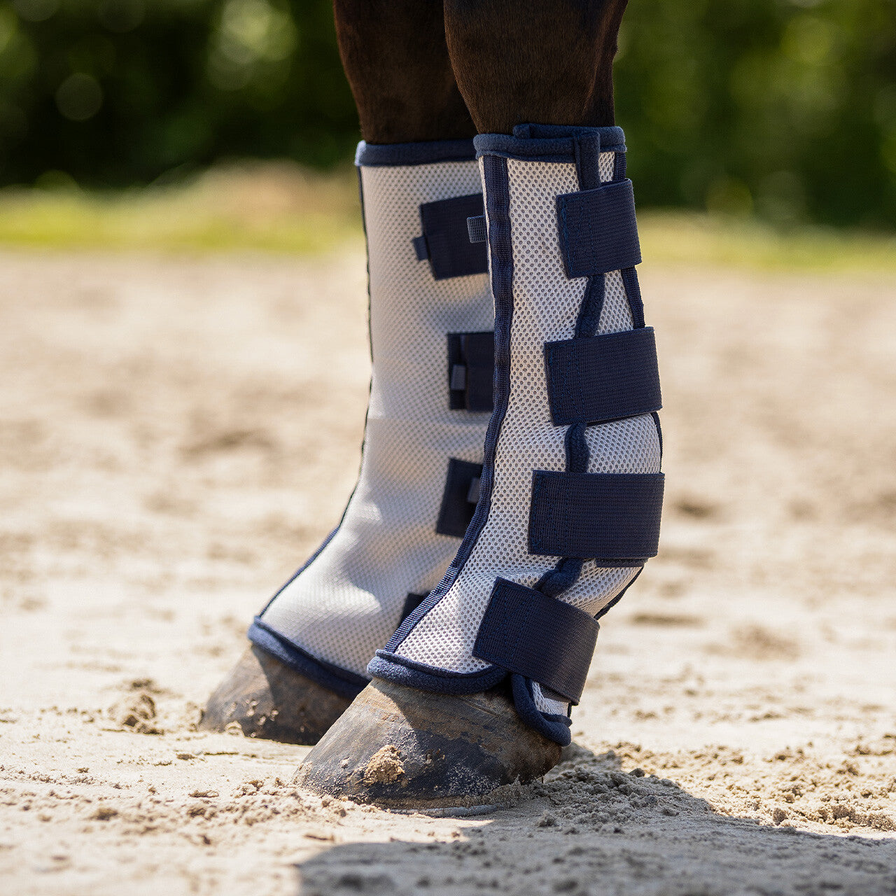 BOTAS PARA MOSCAS GRIS QHP (PAR)