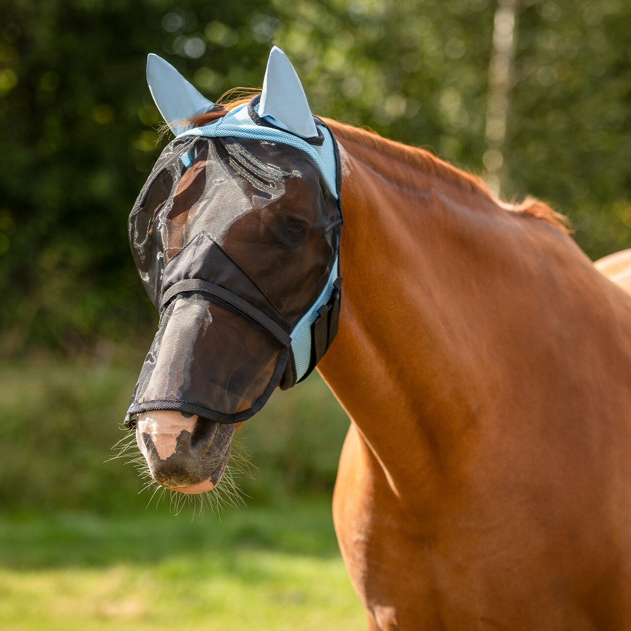 MÁSCARA QHP CON SOLAPA NASAL DESMONTABLE AZUL BEBÉ