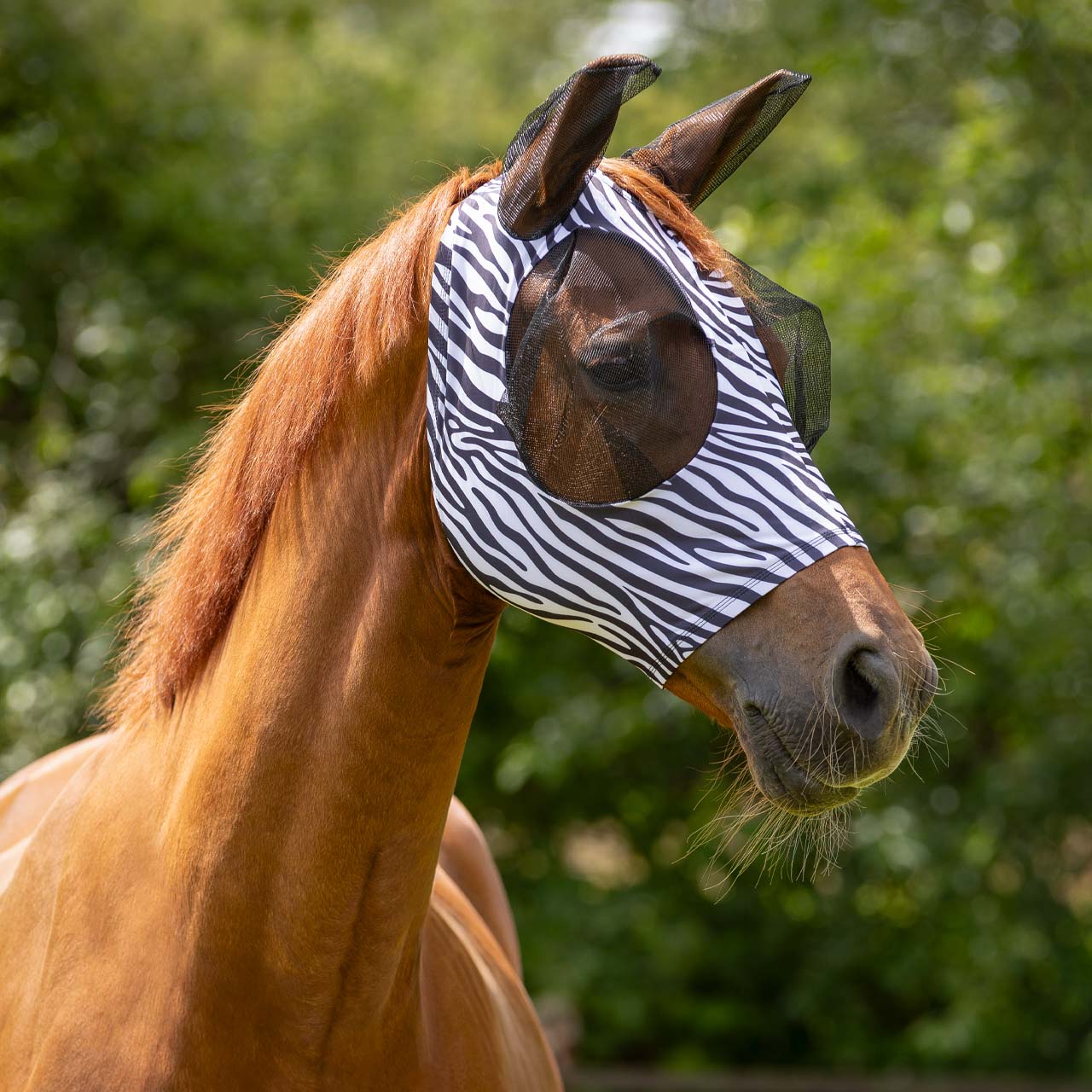 MANTA ANTIMOSCAS QHP ZEBRA