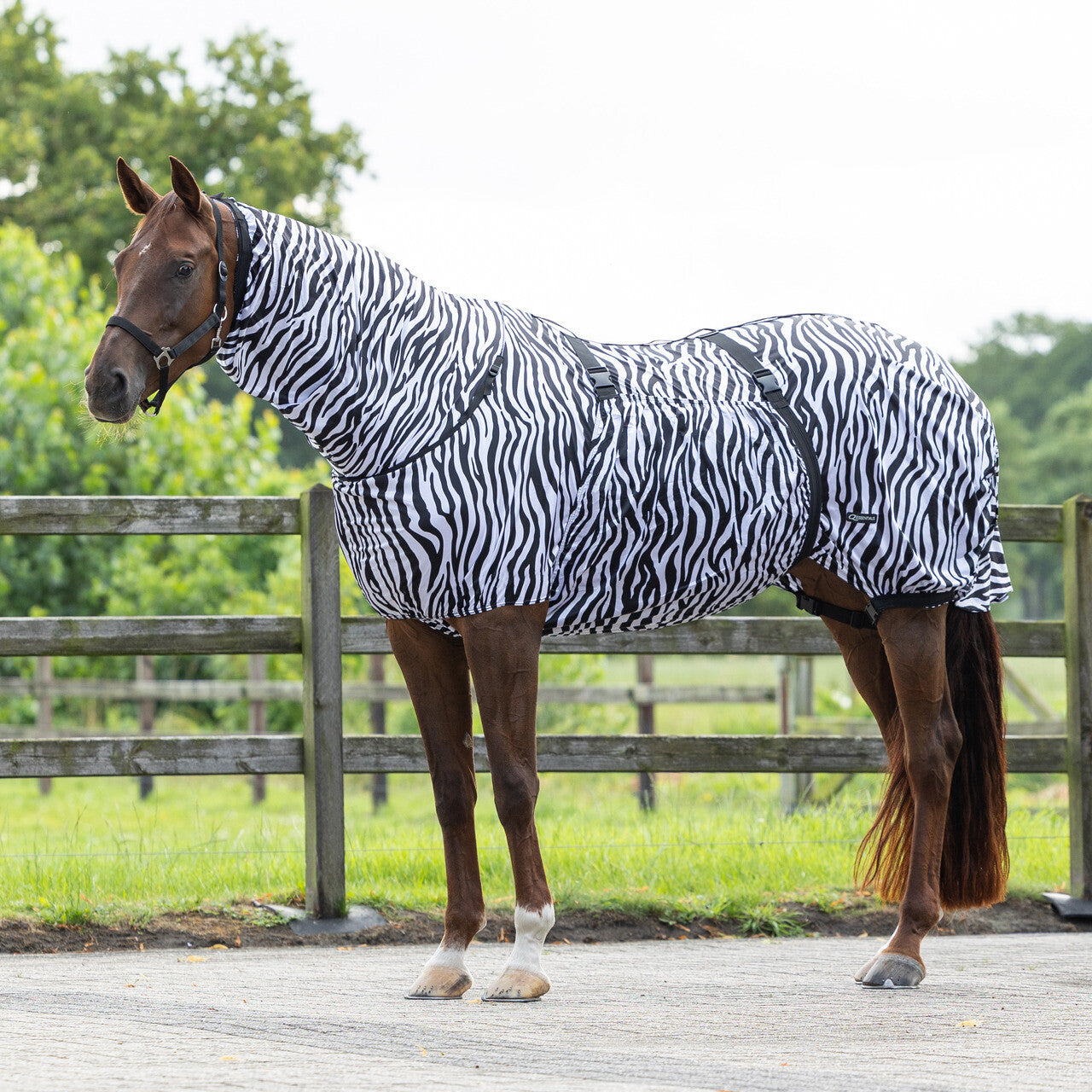 MANTA ANTIECCEMA ZEBRA QHP