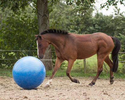 PELOTA PARA CABALLO