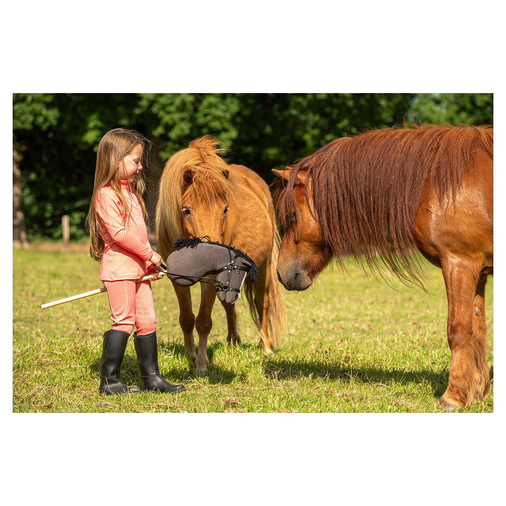 CABALLO DE JUGUETE MINIHORSE