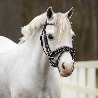BRIDA BIXIE PONY QHP