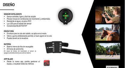 BLAZE GARMIN PARA EQUITACIÓN