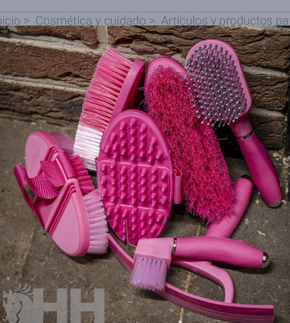 JUEGO LIMPIEZA HORSEWARE NEWMARKET