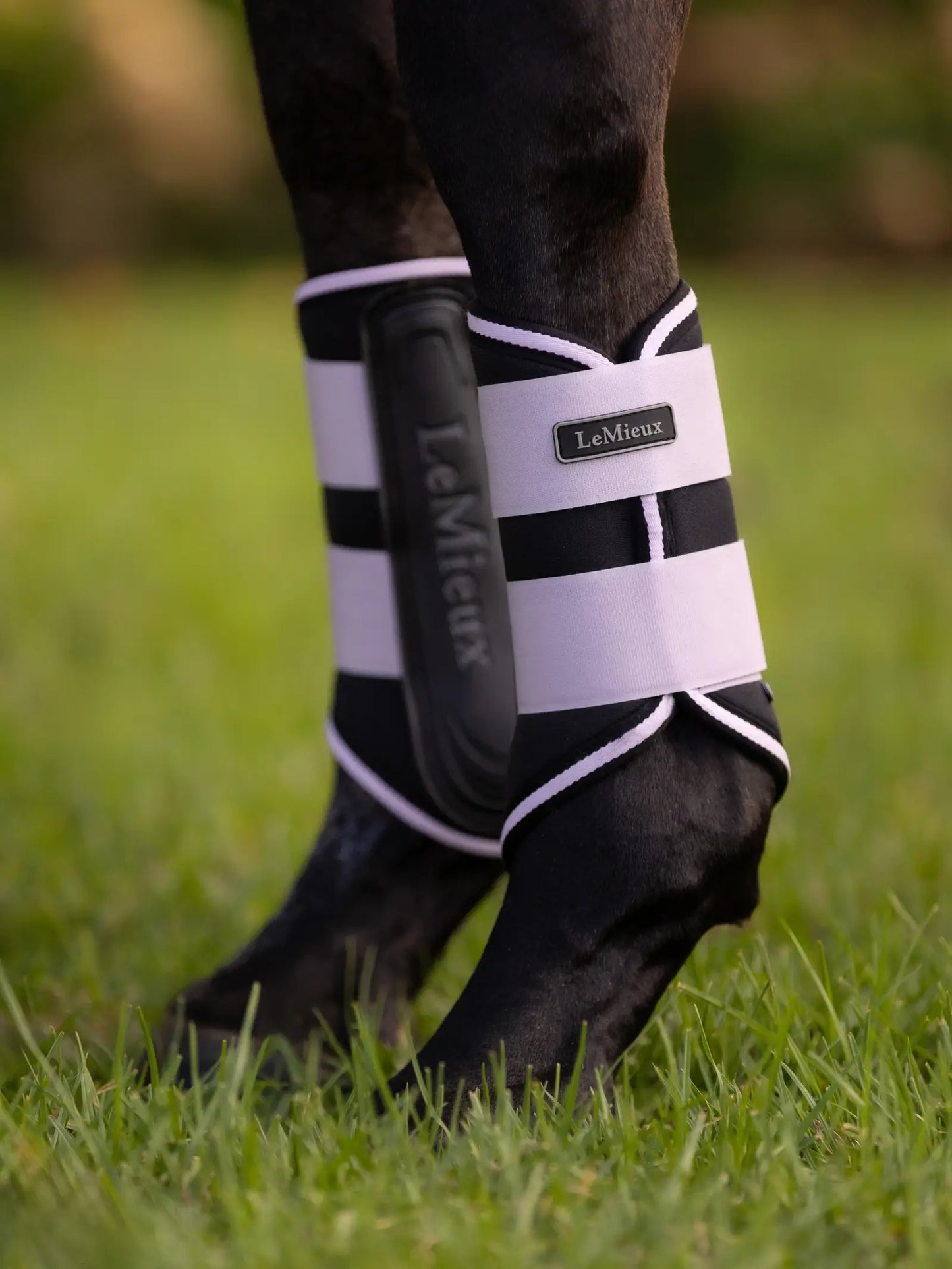 Botas de cepillado Grafter Lila