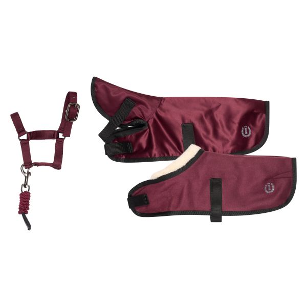 CONJUNTO PONY TOY IMPERIAL BURDEOS