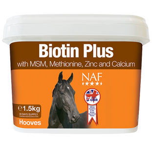 BIOTIN PLUS NAF