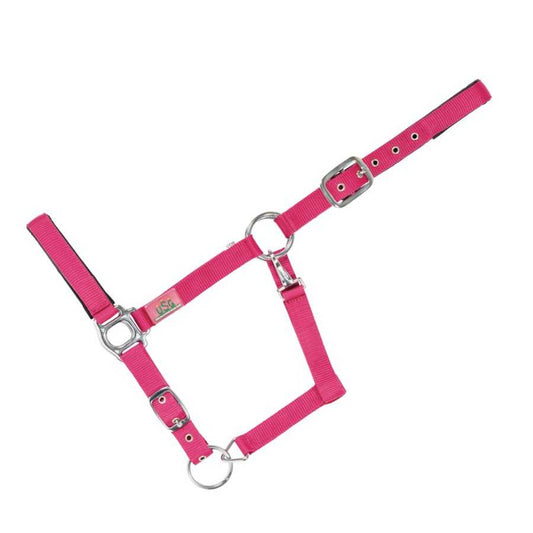 CABEZADA USG ROSA