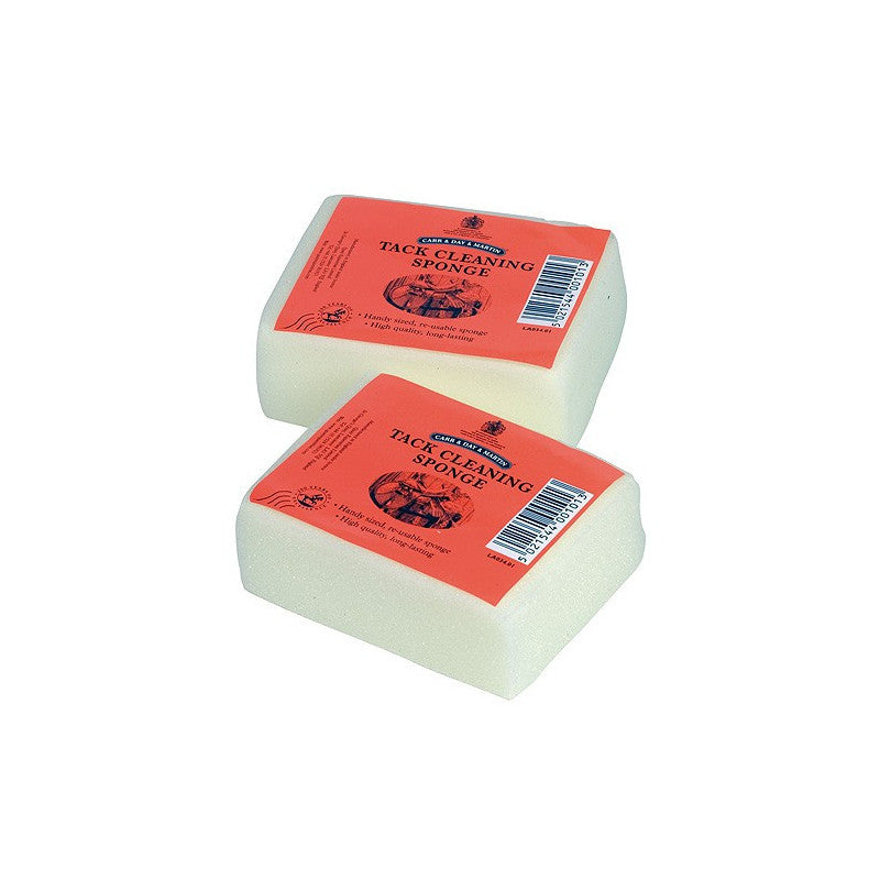 CARR & DAY ESPONJA PEQUEÑA 10cmX7cm