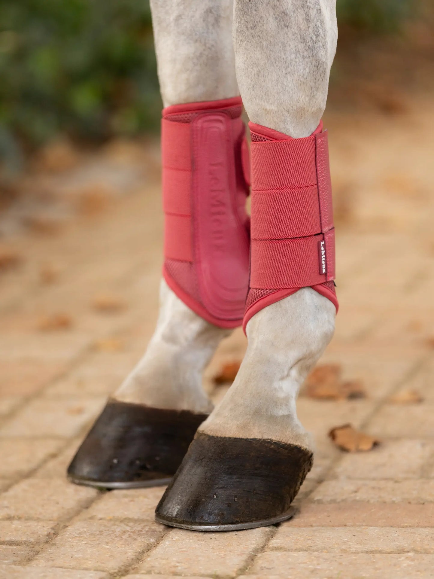 PROTECTORES LE MIEUX ARIKA ARANDANO