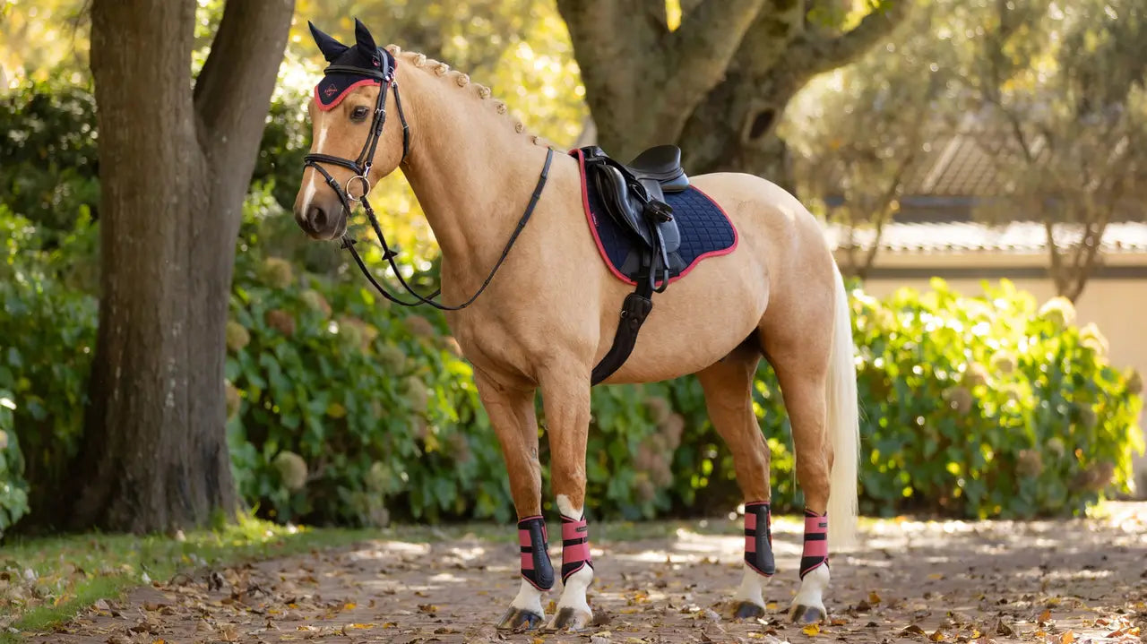 MANTILLA LE MIEUX  SALTO AZUL ARANDANO SALTO