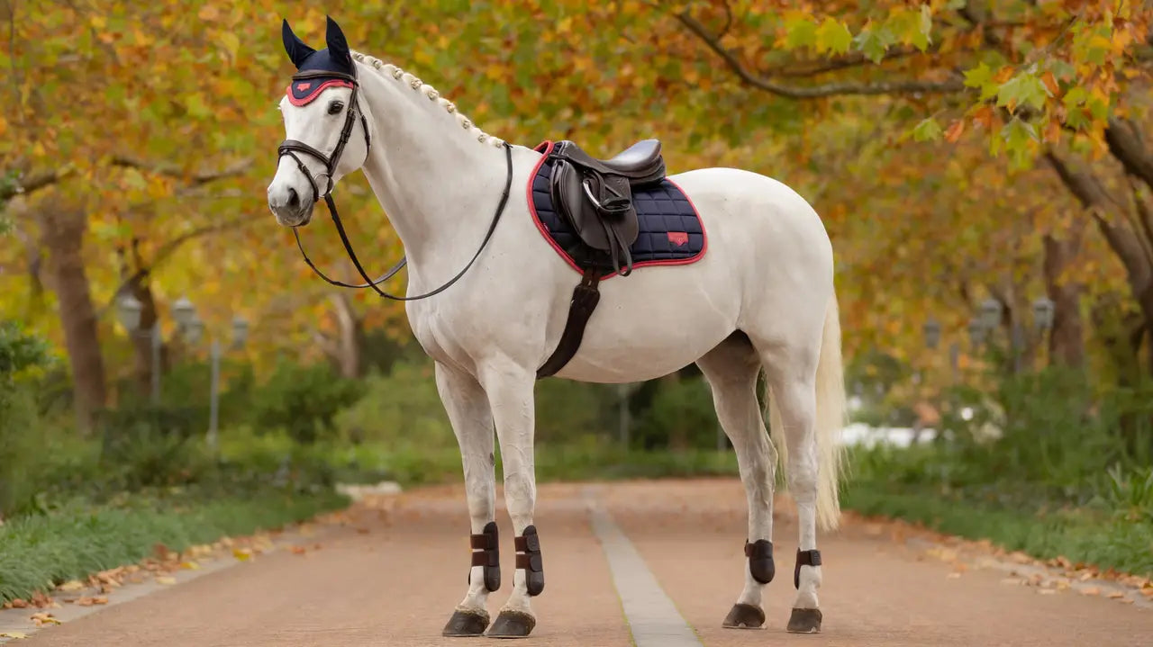 MANTILLA LE MIEUX  SALTO AZUL/ARANDANO SATINADA SALTO