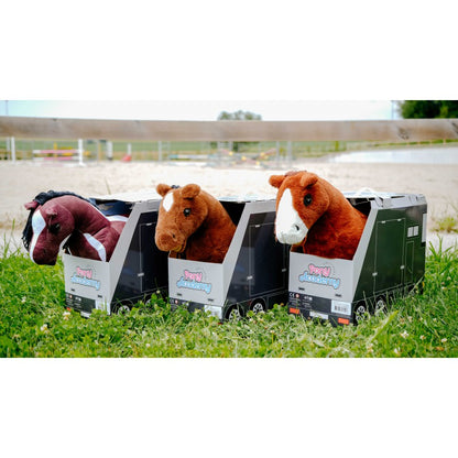 PELUCHE PONY ACADEMY