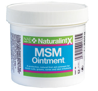 MSM OINTMENT NAF 250G