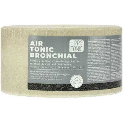 Piedra de sal HIPPOTONIC – Airtonic Bronquial