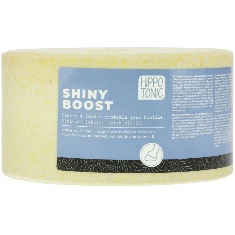 Piedra de sal HIPPOTONIC – Shiny Boost