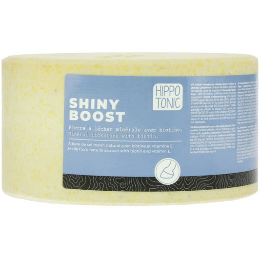 Piedra de sal HIPPOTONIC – Shiny Boost