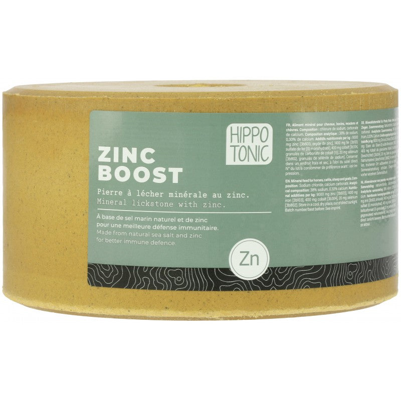 Piedra de sal HIPPOTONIC – Zinc Boost
