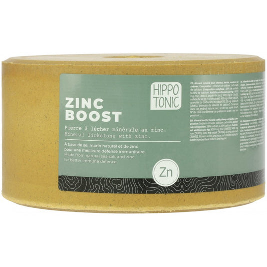 Piedra de sal HIPPOTONIC – Zinc Boost